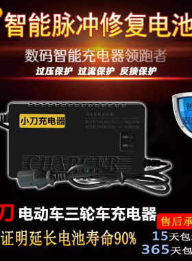 速发厂家小刀电动车电瓶08V12V20A64V728A0A84V24V6