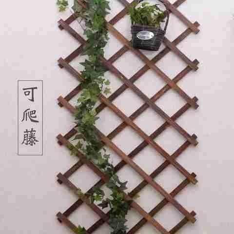 爬腾植物架爬墙网格花架植物爬藤架子花支架室外阳台壁挂式攀爬架