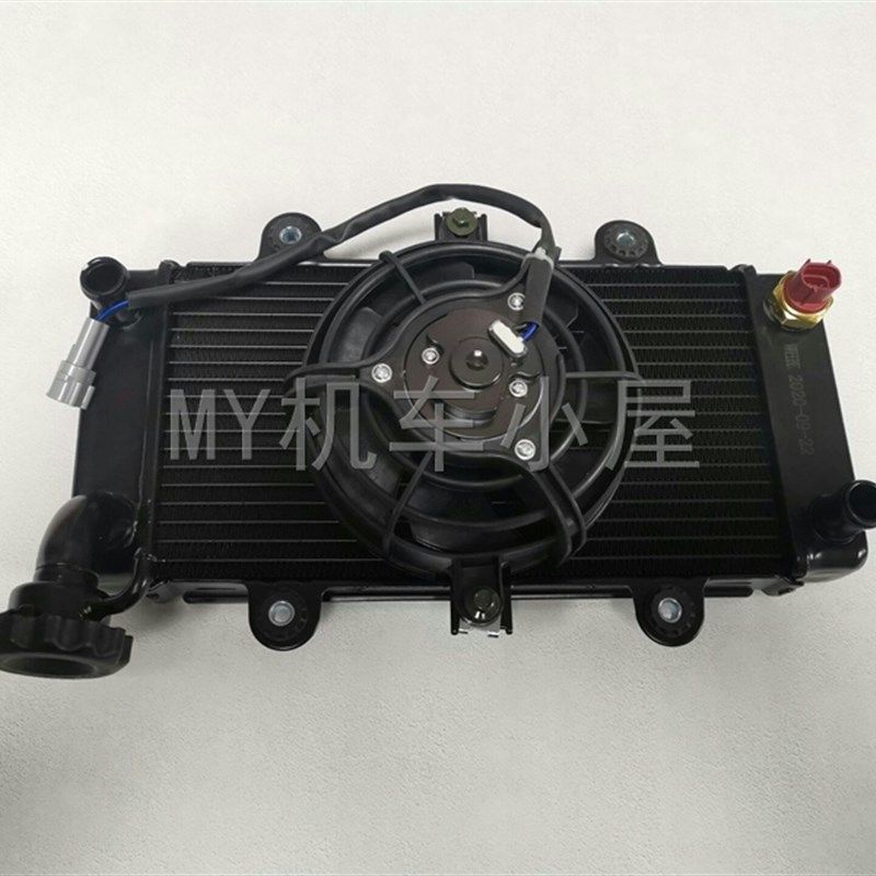 适用于地平线大跑车水箱350CC摩托车水箱大地250双缸水冷S款水箱