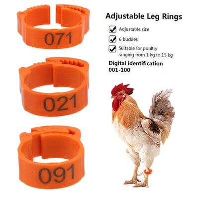 Buckle Ring Adjustable 100Pcs/set Color Randomly Leg