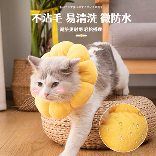 pet collar cat soft anti sunflower adorable elizabeth