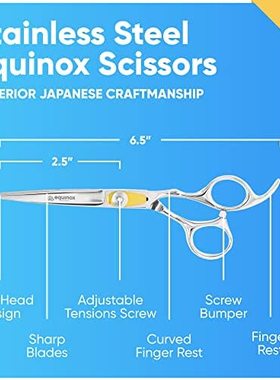 Equinox Professional Hair Scissors - Hair Cutting Scissors P