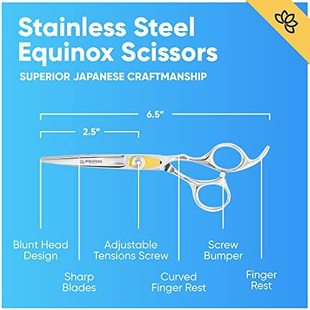 Equinox Professional Hair Scissors - Hair Cutting Scissors P