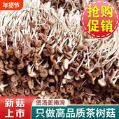 新货福建古田茶树菇干货鲜嫩农家茶薪菇农家无硫熏香菇500G食材