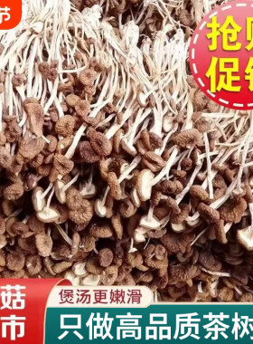 福建古田茶树菇特产干货农家食材