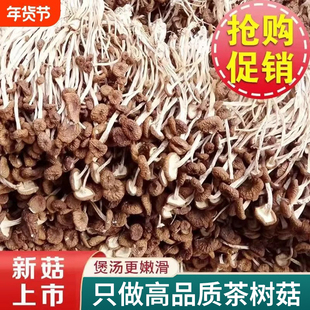 新货福建古田茶树菇干货鲜嫩农家茶薪菇农家无硫熏香菇500G食材