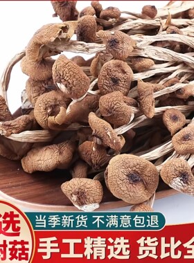 古田正宗茶树菇农家精选干货