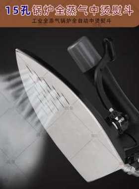 厂产厂促RUT300锅炉蒸汽熨W斗吊瓶式熨斗服装窗帘干洗店锅炉中