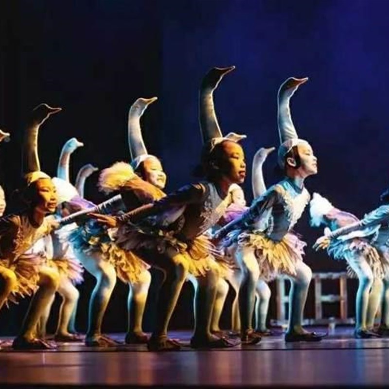 l演鹅场里的故事第九届小荷风儿童舞服小狗蹈天鹅表采动物演出服