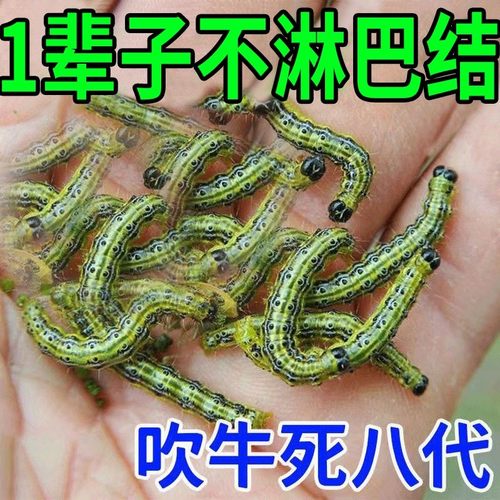 淋巴散结淋巴膏消耳後肿大收副乳去结节腋下颈部贴膏神器消除膏JR