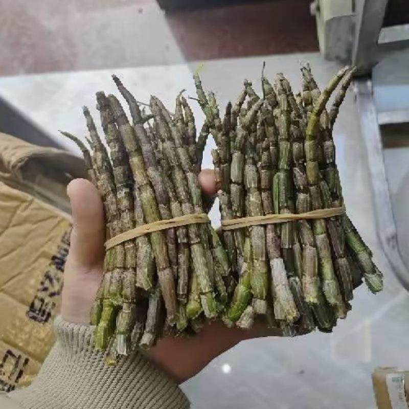 新鲜铁皮石斛鲜条500g乐清雁荡山四年生枫斗石斛浙江安徽材干