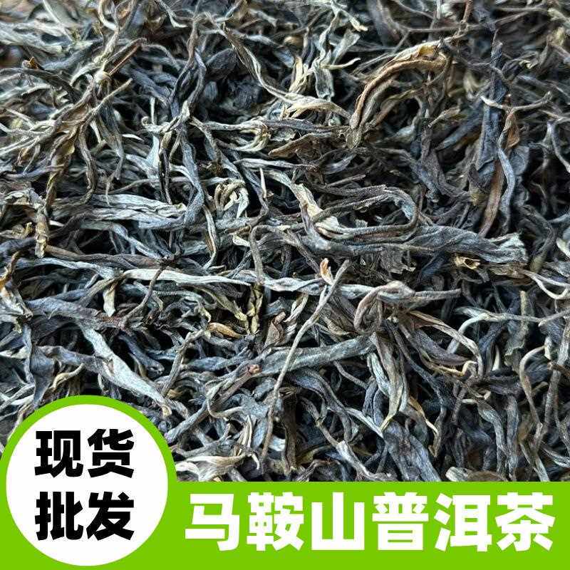 云南普洱茶 2022年马鞍山古树普洱茶生茶散茶 500克茶叶