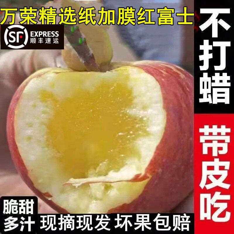 顺丰包邮头茬山西运城万荣新鲜冰糖心羊奶苹果当季10斤装精选大果
