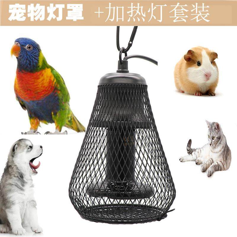 适配宠物加热保暖灯鹦鹉陆龟爬虫陶瓷灯猫咪狗狗鸟类网箱笼子防烫,宠物/宠物食品及用品,更多日用品,淘宝优惠券,粉丝福利购,淘宝优惠卷