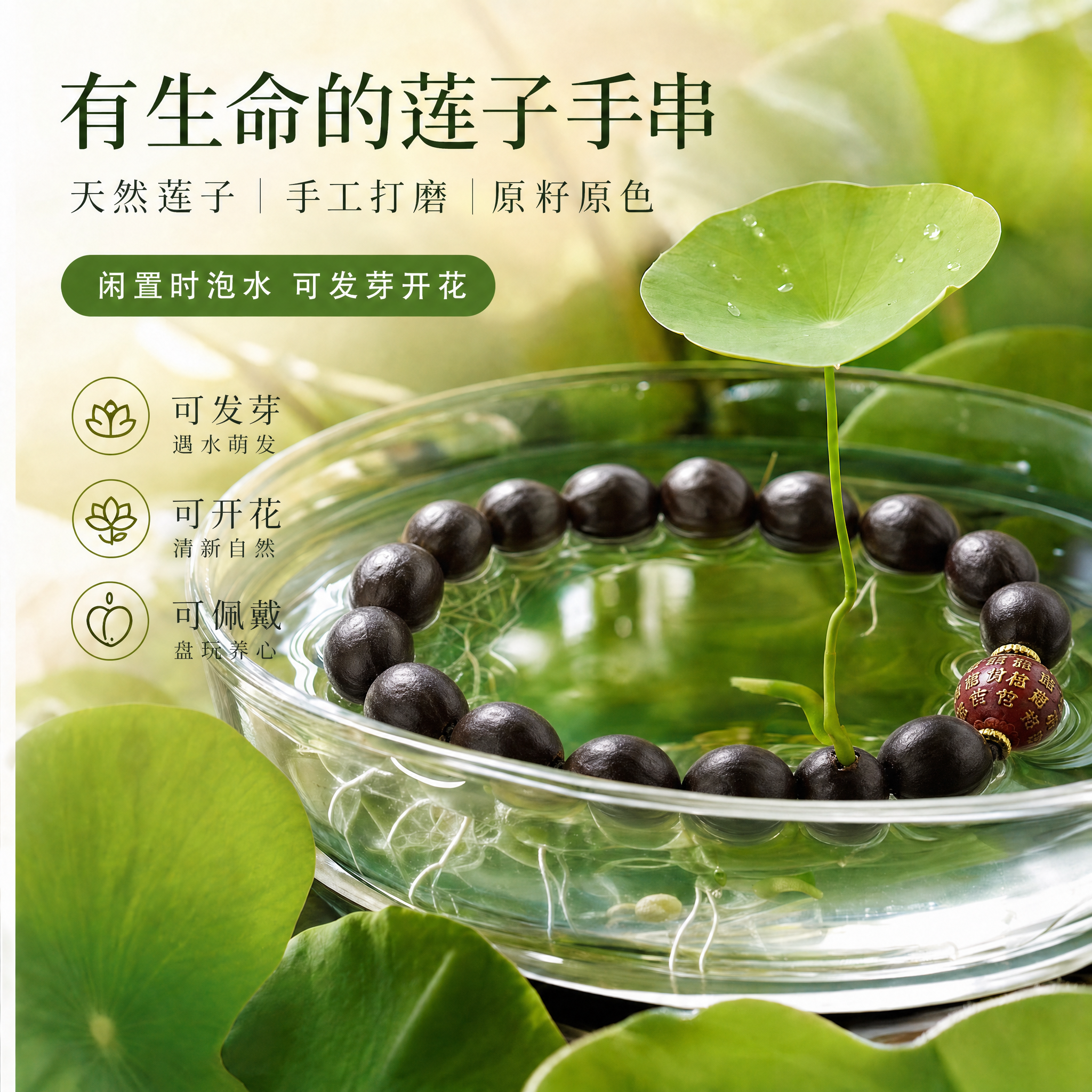 普行缘新品禅意天然蓮子手串
