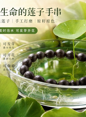 普行缘新品禅意天然蓮子手串禅意饰品福运珠文殊珠男女款手链