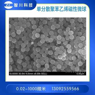 单分散聚苯乙烯磁性微球ps微米/纳米磁珠羧基化生物磁珠偶联