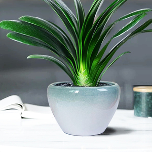 家用简约创意陶瓷花盆特价清仓室内外北欧风盆栽大口径发财树客厅