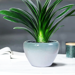 家用简约创意陶瓷花盆特价清仓室内外北欧风盆栽大口径发财树客厅