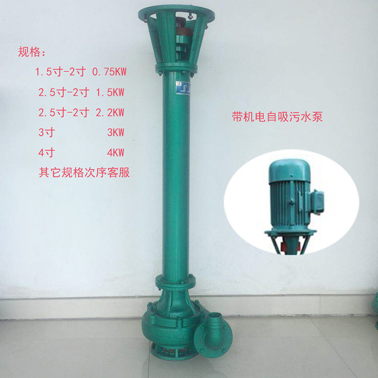 厂家批发型立式泥浆杆泵液下离心污水泵 长轴电动铸铁杆泵,3C数码配件,其它配件,淘宝优惠券,粉丝福利购,淘宝优惠卷