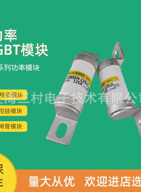 熔断器保险丝600FHM-400-500-570S 全新电子元器件保护器件