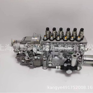 115603 工程用喷油泵106675 0090 466F和101605 3950带齿轮 466B