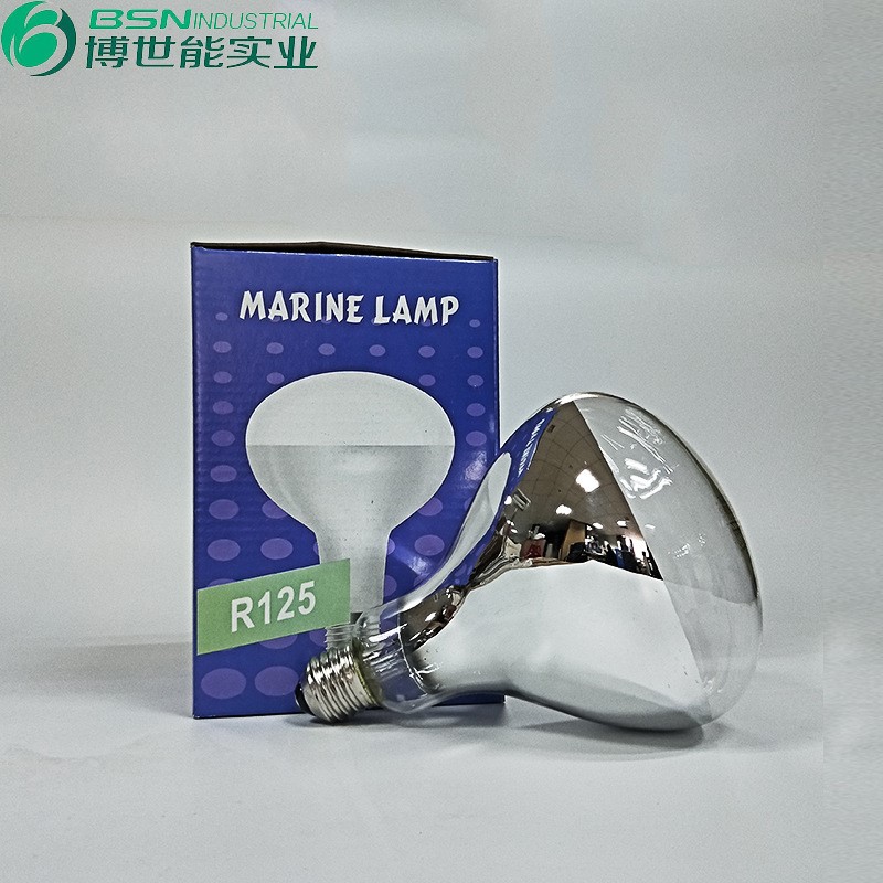 出口装红外线保温灯泡110V250W 透明b玻璃加热灯泡食品保温灯