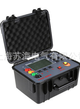 ES3002双钳数字接地电阻测试仪/数字接地电阻测试仪/接地电阻仪