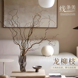 速发龙柳枝条饰枝树干装树室级高内感侘寂风真干花摆件插花干鲜枝