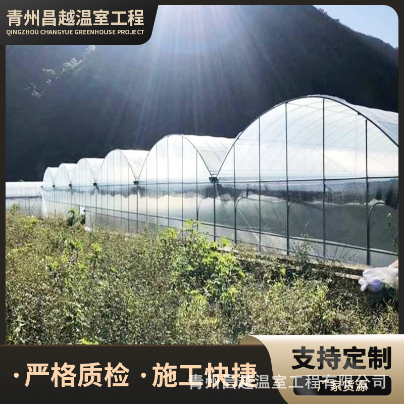 连体po膜覆盖薄膜温室智能双拱双模拱棚菊花育苗基地苗圃大棚
