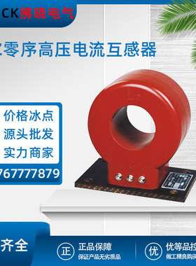 LJZ-Φ110高压零序互感器10P10穿心式10VA 100/5计量绕组测量精度