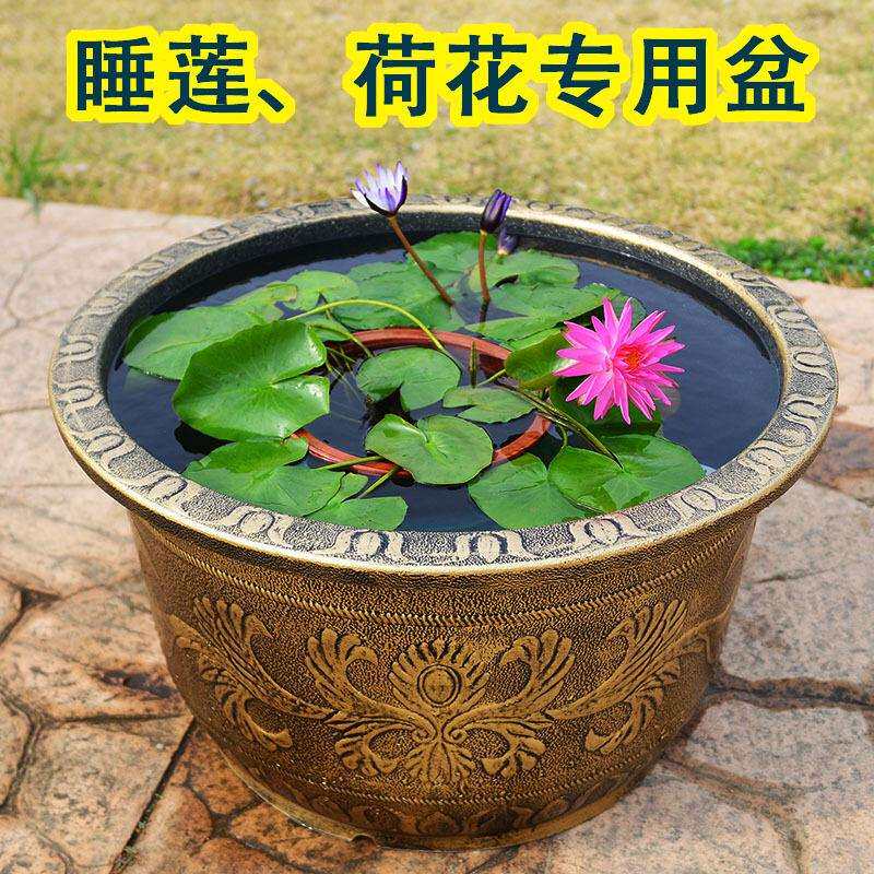 花盆睡莲耐晒加厚养缸特大号种植塑料无孔水培碗莲铜钱草莲藕荷花