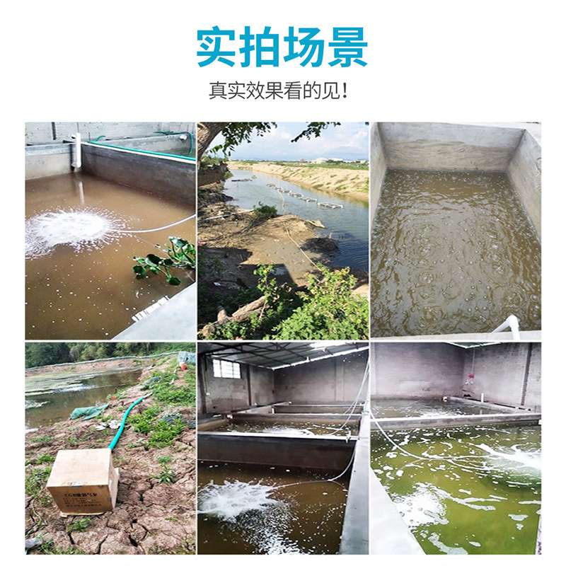 2.2KW/380三相高压漩涡气泵水产养殖鱼塘增氧机曝气机高压鼓风机