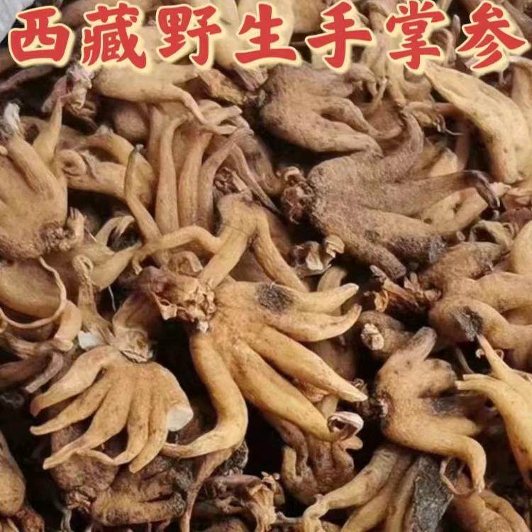 西藏特产佛手参手掌参野生正宗手参干货正品泡酒煲汤料