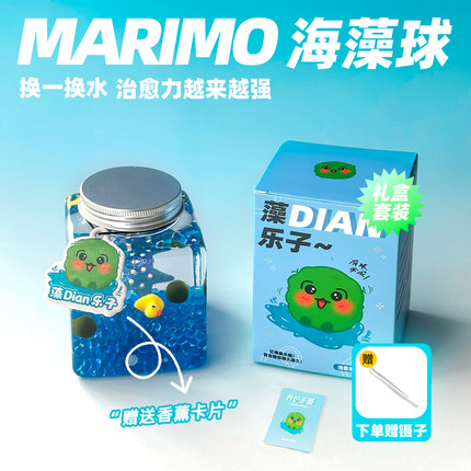 Marimo马里莫海藻球幸福球藻好养治愈系植物水培生态瓶微景观礼物