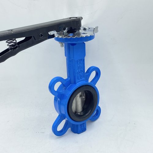 厂家直销!手动对夹式蝶阀d71x手柄软密封四氟碟阀阀门dn50 80 100