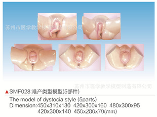 SMF028难产类型模型(5部件)