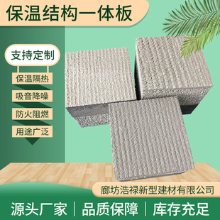 保温结构一体板厂家新款 饰材料复合挤塑一体板 建材免拆模板外墙装
