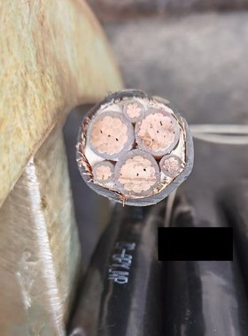 BPYJVP变频电缆屏蔽电缆线4芯6芯*2.5 4 6 10 16 35 50 95.平方3+