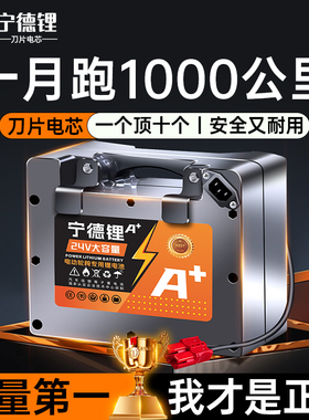 英洛华老人电动轮椅专用锂电池九圆贝珍可孚吉芮通用代步车电瓶