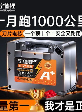 一月跑1000公里【电动轮椅电池】