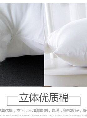沙发抱枕芯子靠垫芯子腰枕头芯大靠枕芯4545/5555/6060/6565/4055