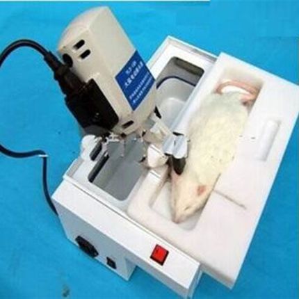 大鼠电动断头器 型号:YLS-19A库号:M397163