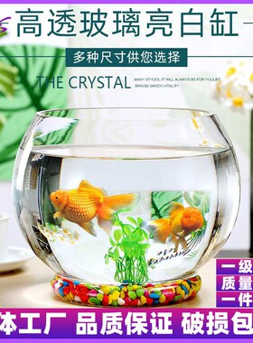 圆球透明玻璃花h瓶水培植物鱼缸简约创意生态水养绿萝花盆装饰摆