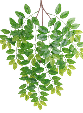仿真榆树叶手感过胶塑料榆树支y绿色植植物叶子假树枝工程装饰造