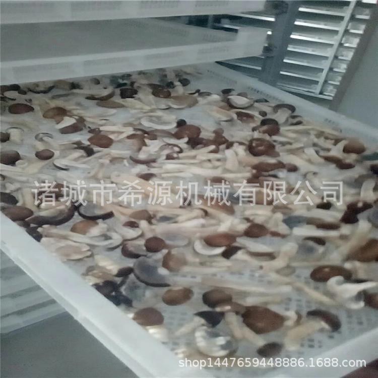 多功能烘干机 蘑菇烘干机价格 托盘式蔬菜烘干机械 欢迎咨询订购