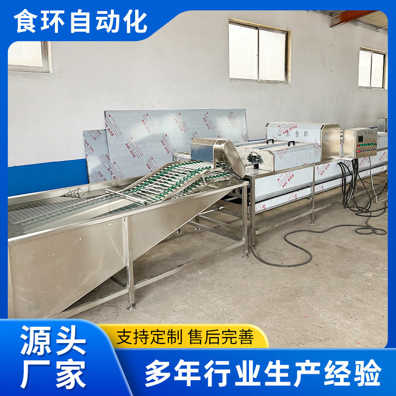 自动洗蛋机鹌鹑蛋鸡蛋鸭蛋洗刷喷油风干流水线松花蛋去泥清洗设备,清洗/食品/商业设备,洗果机/洗菜机,淘宝优惠券,粉丝福利购,淘宝优惠卷