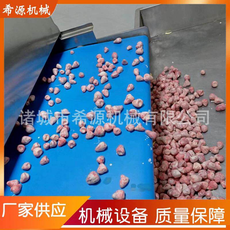 现货山楂涂层机 苹果片裹巧克力机 冻干果蔬巧克力涂层设备 800型