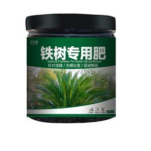 铁树肥料专用肥家用盆栽绿植物通用型氮磷钾有机花肥料化肥复合肥