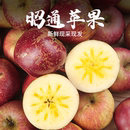 云南昭通苹果甜脆丑苹果新鲜水果